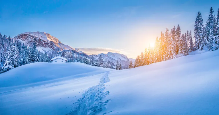 Winterland