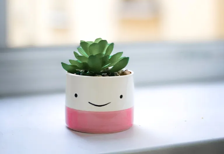 Blumentopf mit Smiley