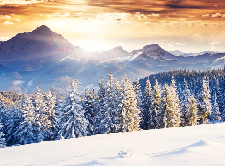 Winterland