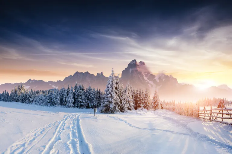 Winterland